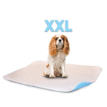 Lennypads Lennypads 3636LP 36 x 36 in. 2XL Washable Pet Pad - White 3636LP